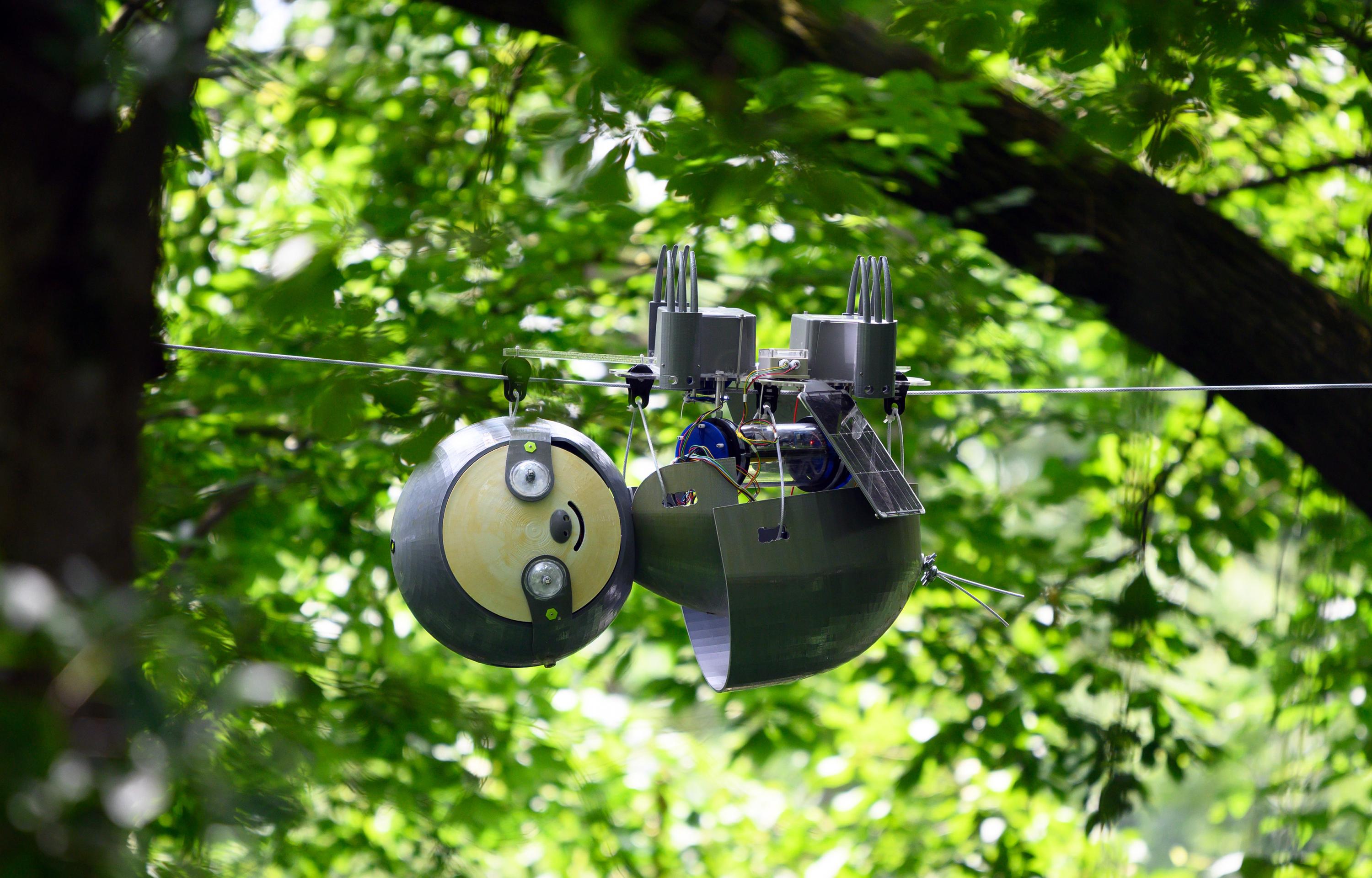 SlothBot suspended on a wire in the Atlanta Botanical Garden